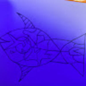 Meet your Posher, Jyn